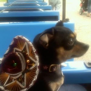 Meet your Posher, Sherrie