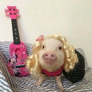 Meet your Posher, Melissa