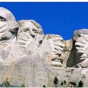 Meet your Posher, Ann