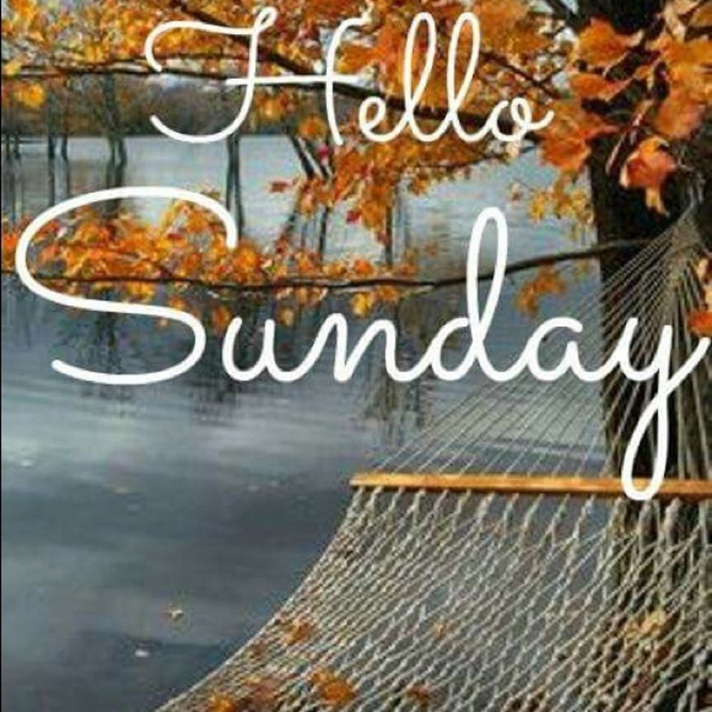 Happy Sunday 🍂☕️