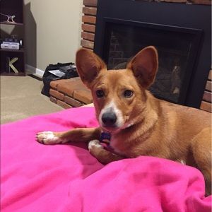 Meet your Posher, Katie