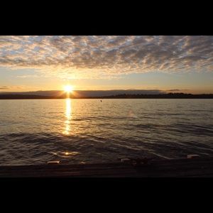 Meet your Posher, Audrey