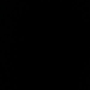 Meet your Posher, Jesus