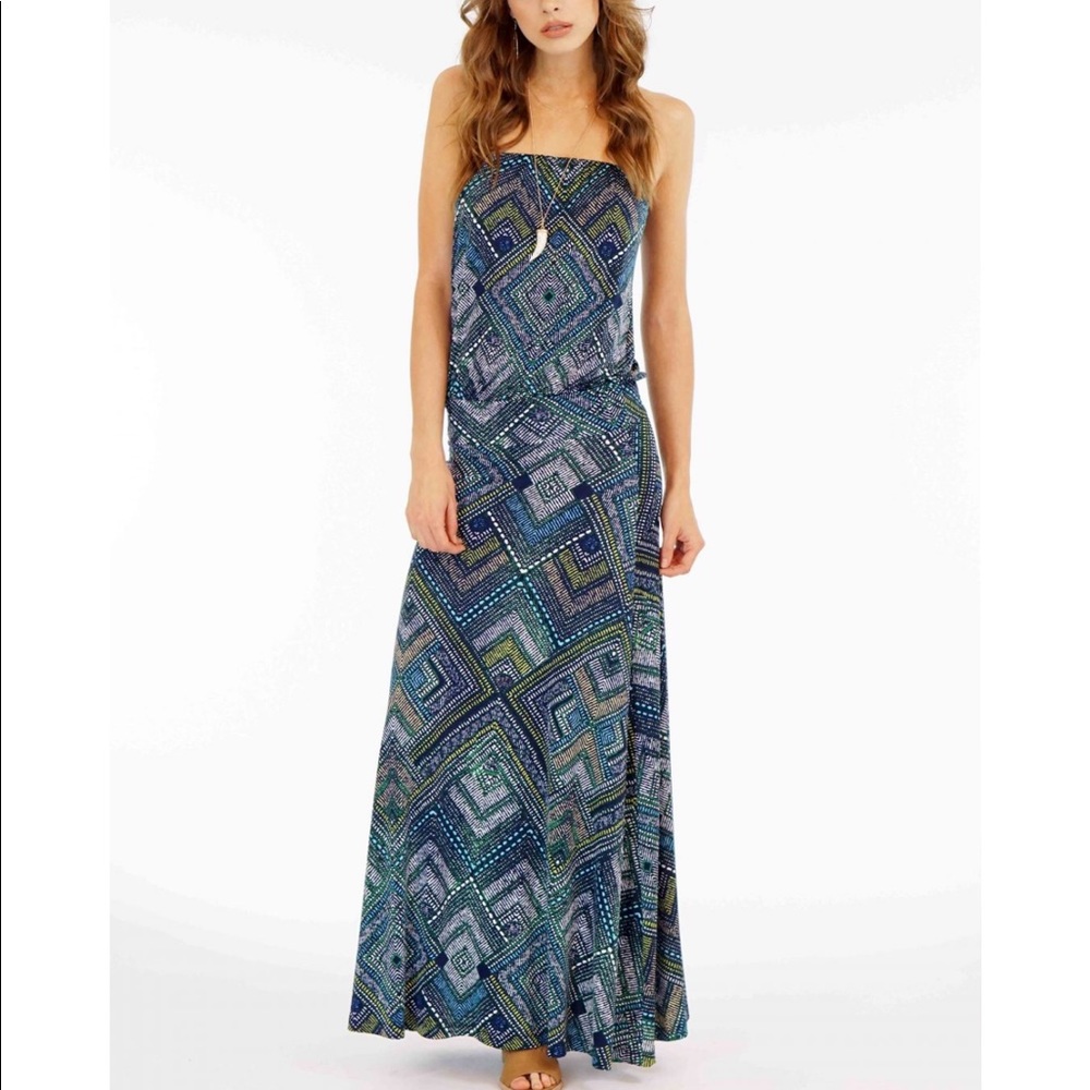 VeronicaM Halter too long dress