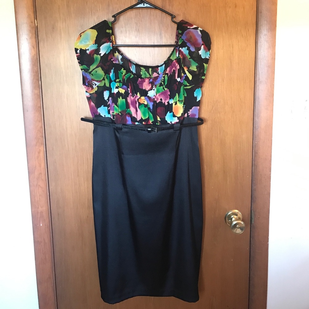 Size 12P Women's Dress