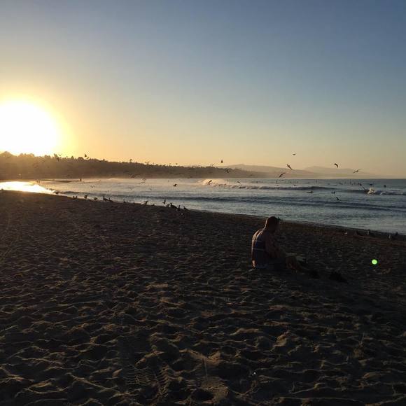 Meet your Posher, Sam - Picture 1 of 1