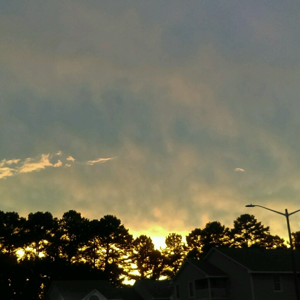 Meet your Posher, Tamara