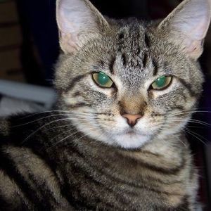 Meet your Posher, Terry