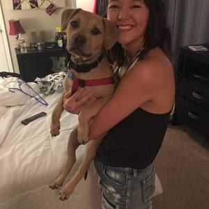 Meet your Posher, Abbie