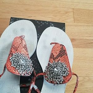 Beautiful sam Edelman thong scandals