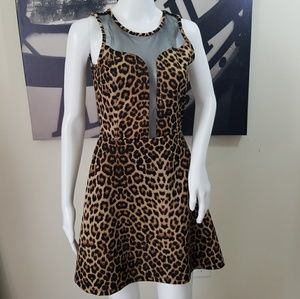 Rue21 S Leopard Cheetah Animal Print Skater Dress