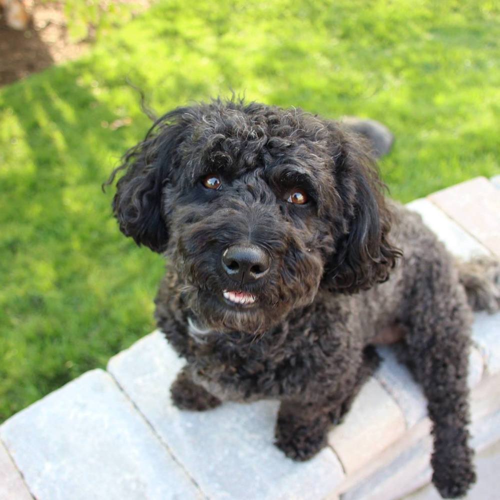 Meet your Posher, Beth