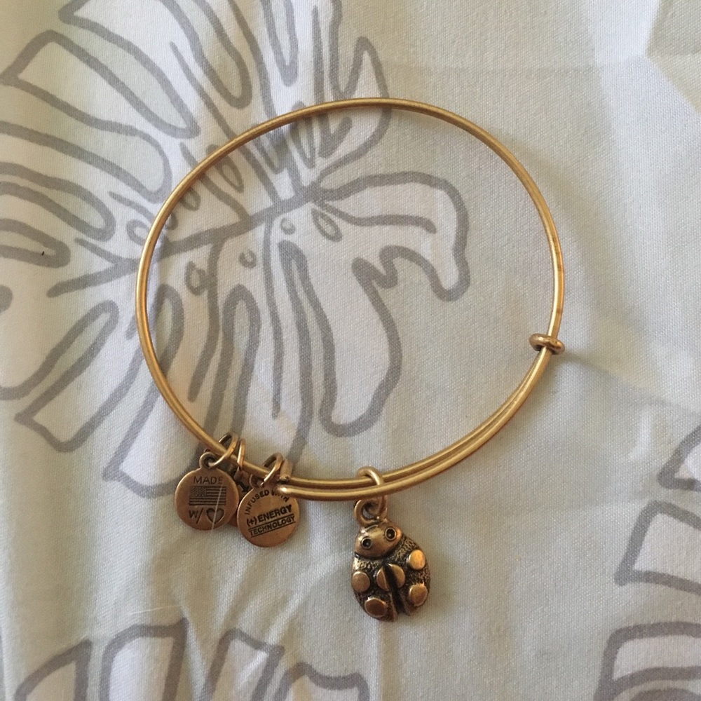 Alex & Ani ladybug bracelet