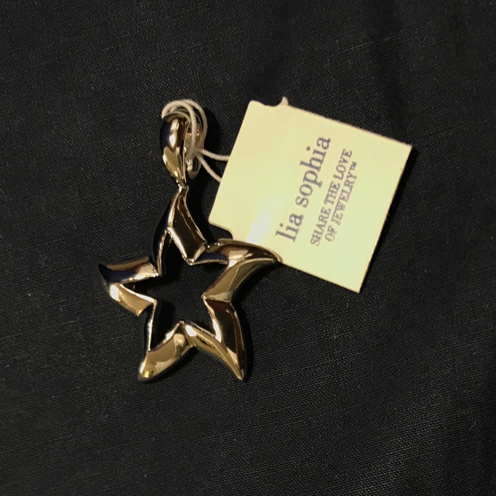 Lia Sophia Star ⭐️ Charm