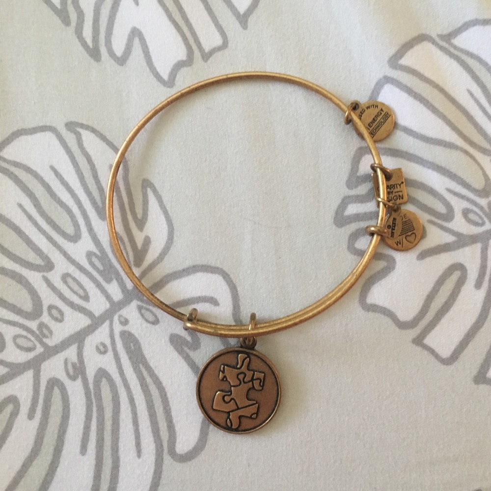Alex & Ani autism awareness bracelet