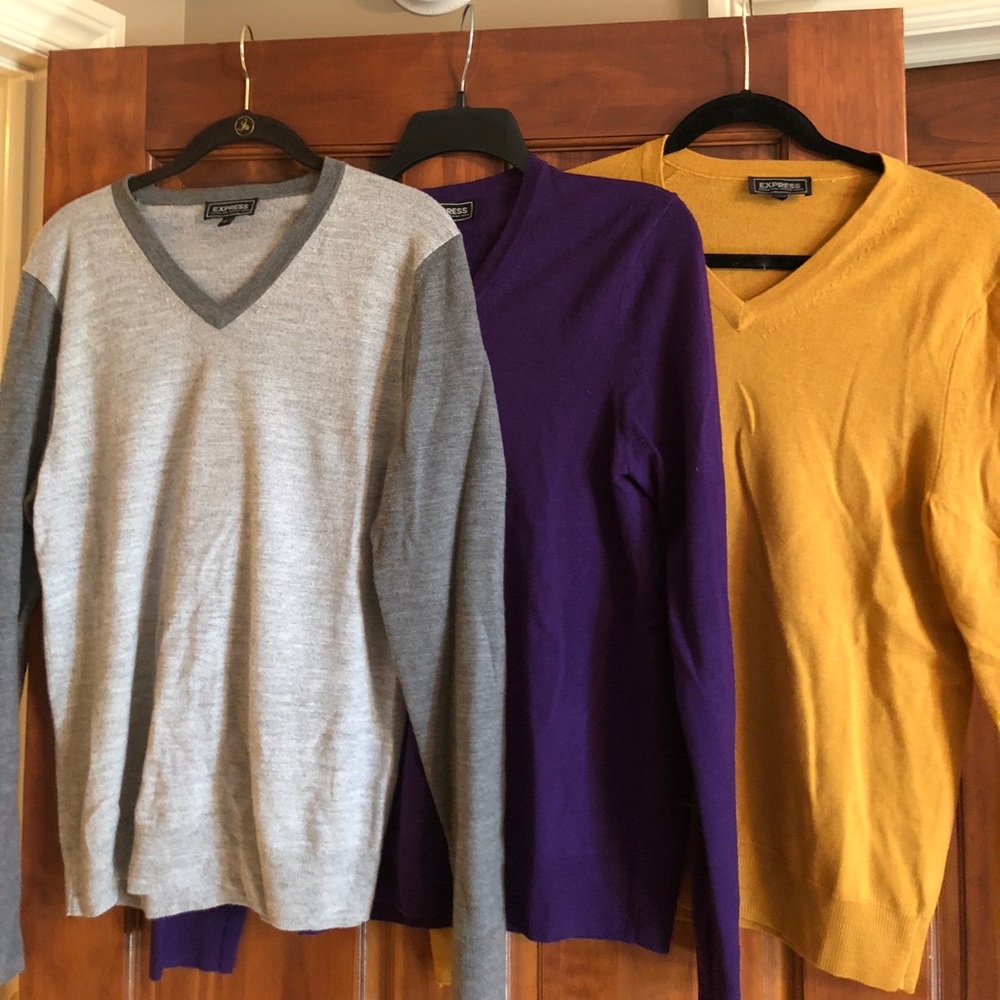 Men’s Express Merino V Neck Sweaters