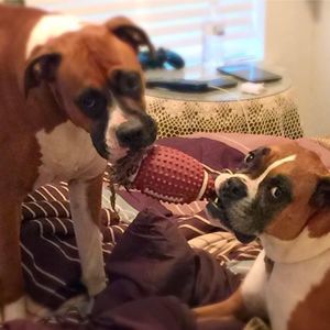 Meet your Posher, Janice