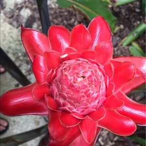 Meet your Posher, Abeer