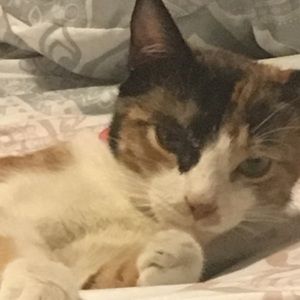 Meet your Posher, Marissa