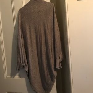 Express long fall sweater