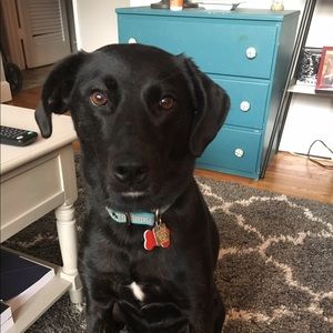 Meet your Posher, Pushpinder