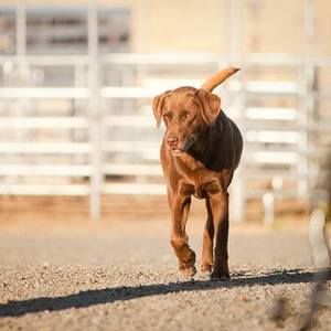 Meet your Posher, Wendy