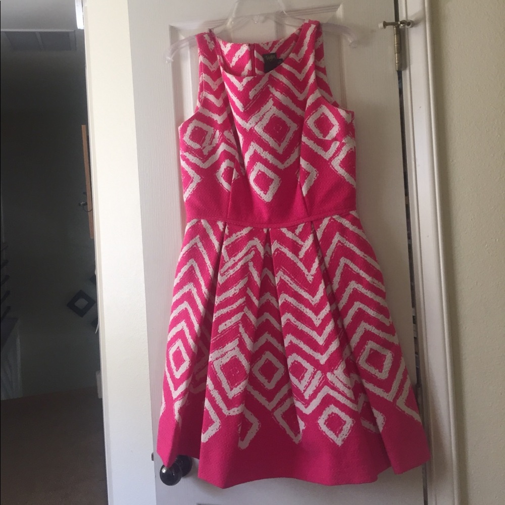 Hot Pink Fit and Flare Dress