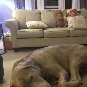 Meet your Posher, Libby