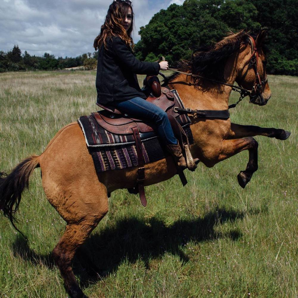 Meet your Posher, Rebecca