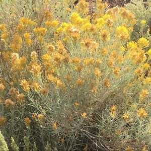 Meet your Posher, Kari