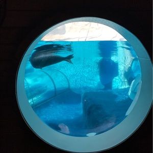 Meet your Posher, Edicia