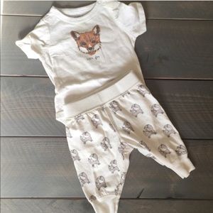 Fox Baby Outfit Pants and onesie.