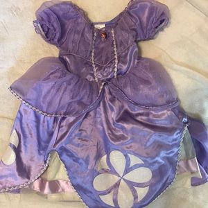 Disney Costumes - Sofia the First Disney Store costume! Halloween! Disney Costumes - Sofia the First Disney Store costume! Halloween!