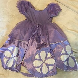 Disney Costumes - Sofia the First Disney Store costume! Halloween! Disney Costumes - Sofia the First Disney Store costume! Halloween!