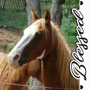 Meet your Posher, Patricia