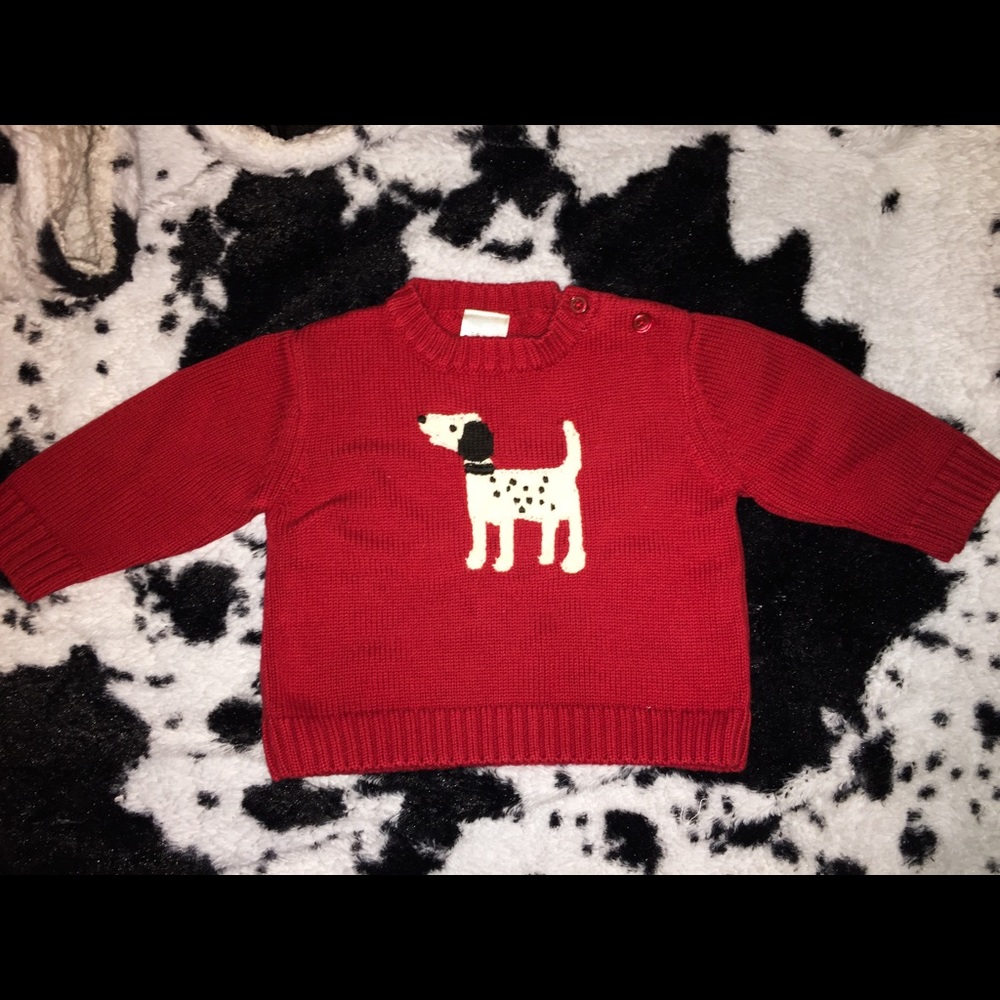 Puppy Sweater