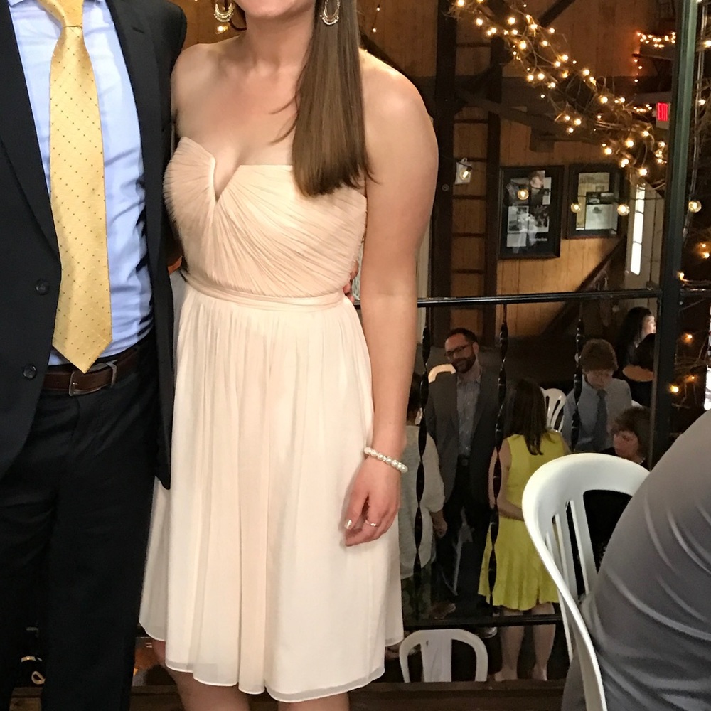 J.Crew Chiffon Blush Dress - 4