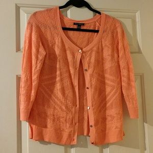 American Eagle cardigan