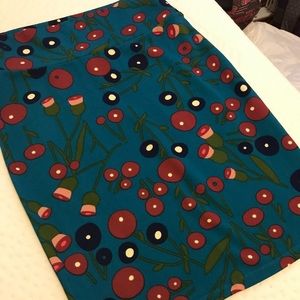 Small Cassie Skirt! Only worn once.