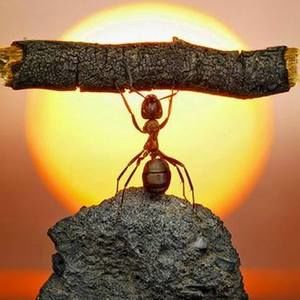 Meet your Posher, Fabiano