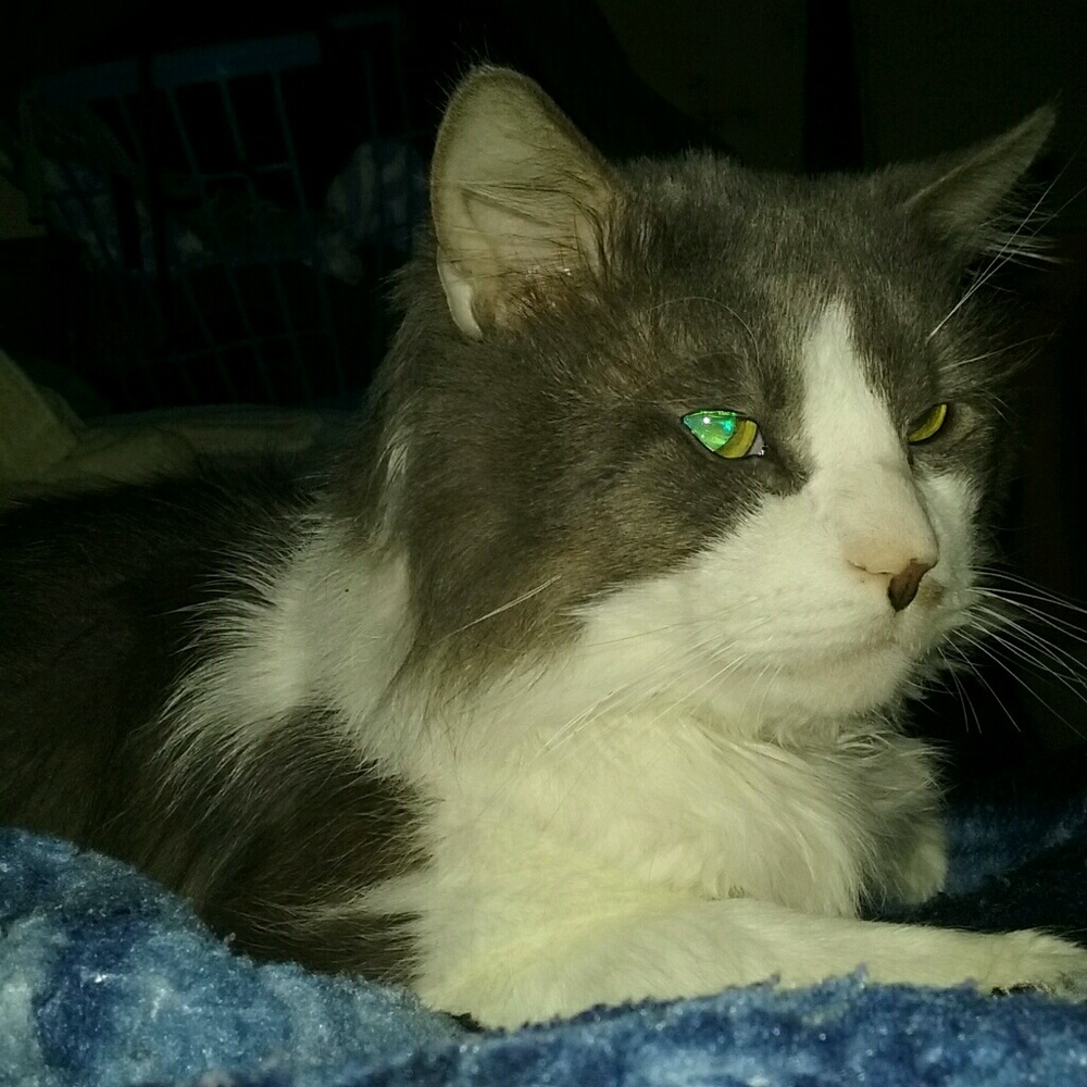 Meet your Posher, Christina