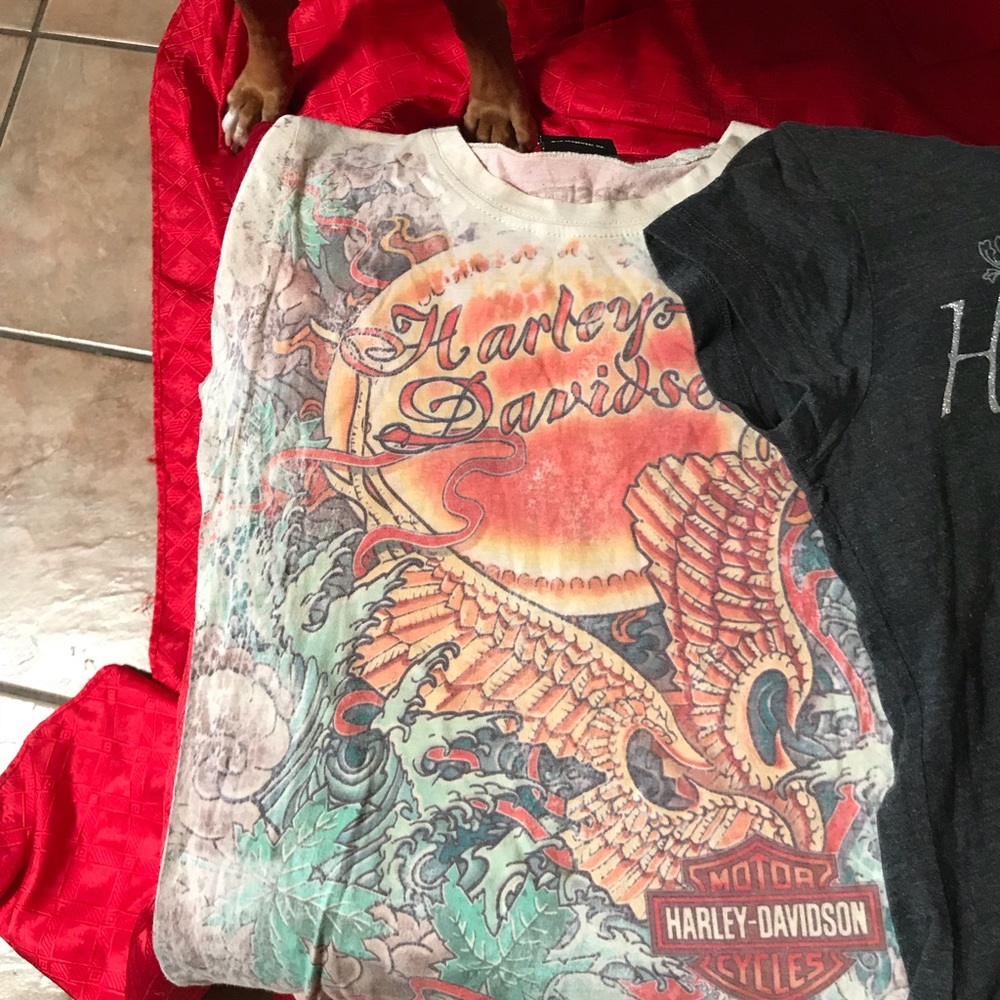 Harley Davidson lot of shirts