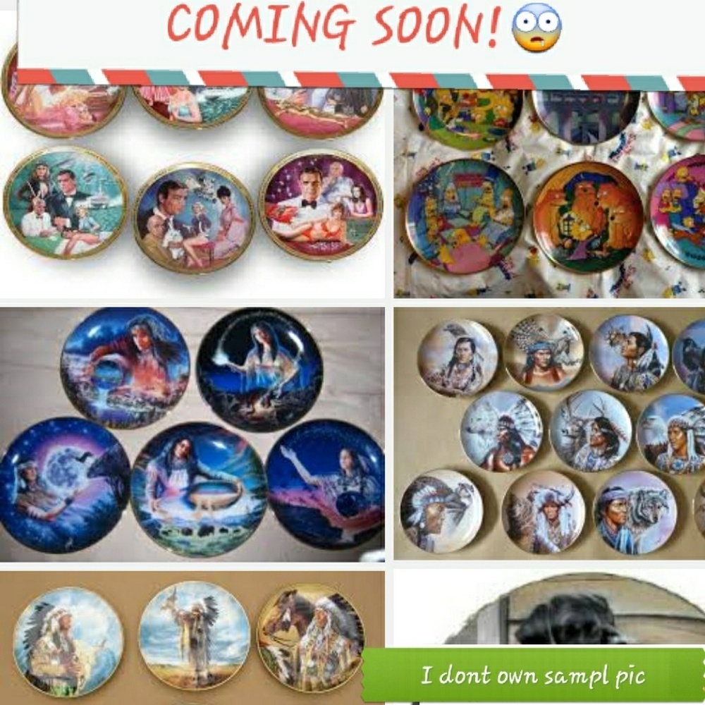 An Assortment of Collectable Plates!
