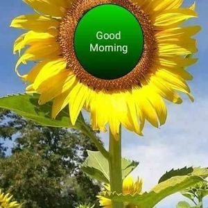 Meet your Posher, Jaspal