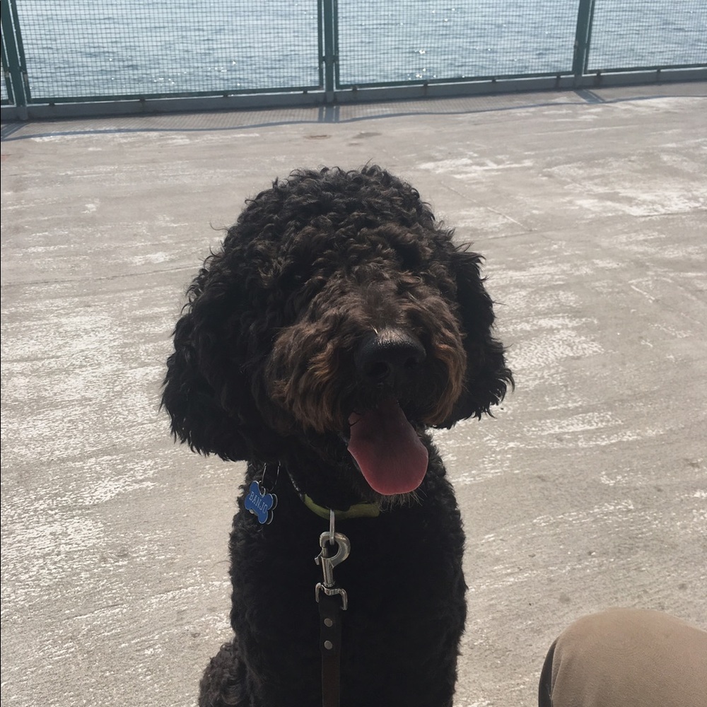 Meet your Posher, Jess