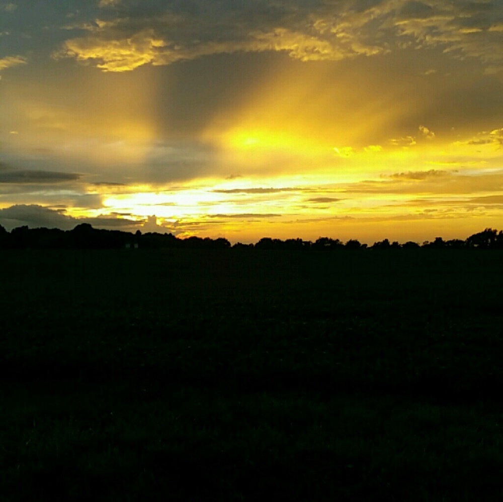 Meet your Posher, Annie