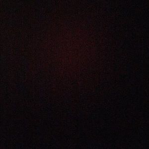 Meet your Posher, Bailey