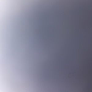 Meet your Posher, Kaylan