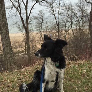 Meet your Posher, Elia