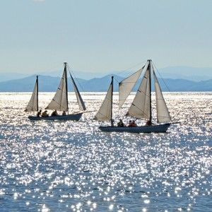 Meet your Posher, Rose